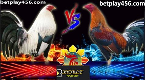 betplay456