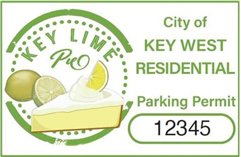 cityofdallas.rmcpay.com