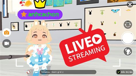 livestreaming88