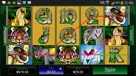lucky247