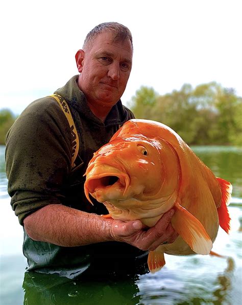 nigfish