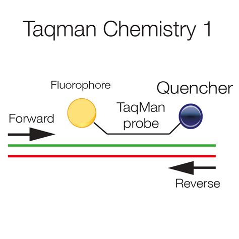 taqman